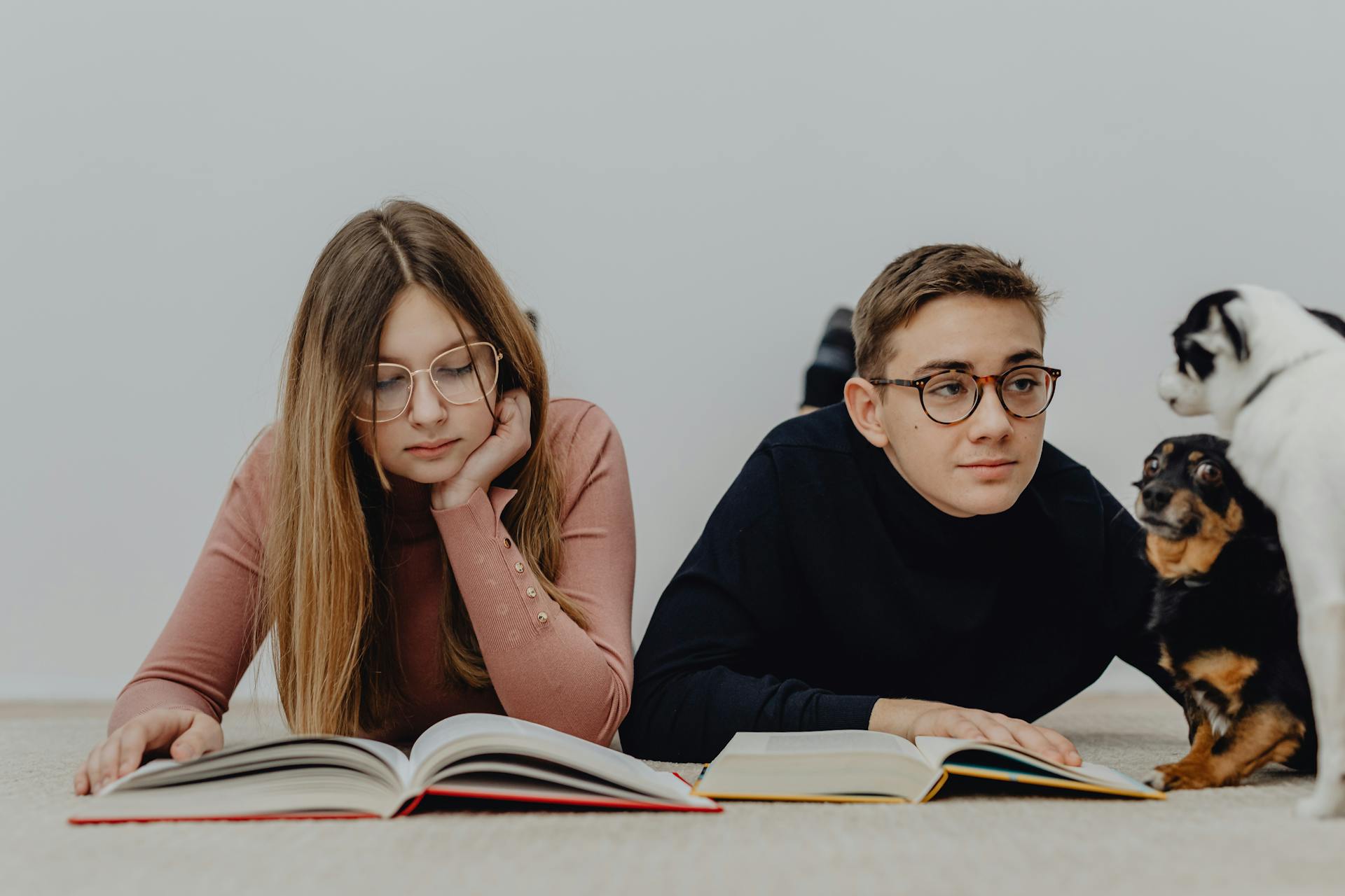 WHY “SOCIALISATION” ISN’T WHAT MOST PEOPLE THINK IT IS