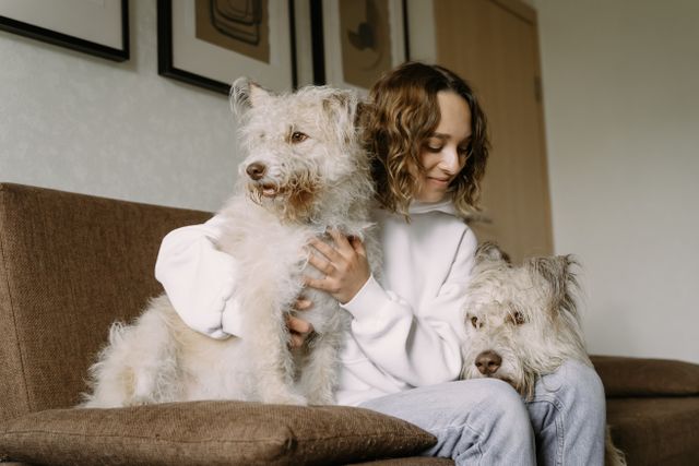 dog_home